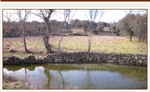 Ubicaci&oacute;n - Casa Rural Alacena Alfarera